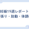 【妊娠19週レポート】お腹の張り・胎動・体調の変化まとめ