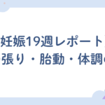 【妊娠19週レポート】お腹の張り・胎動・体調の変化まとめ